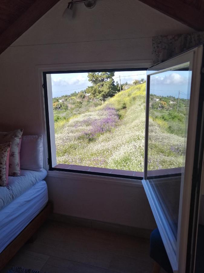 Alma Villa Garafia Bagian luar foto