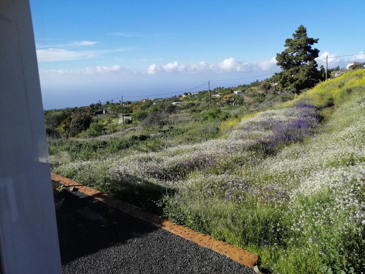 Alma Villa Garafia Bagian luar foto