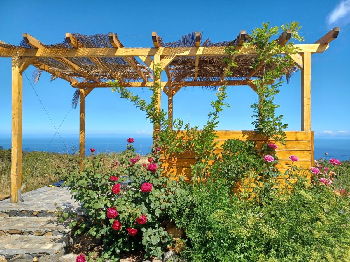 Alma Villa Garafia Bagian luar foto