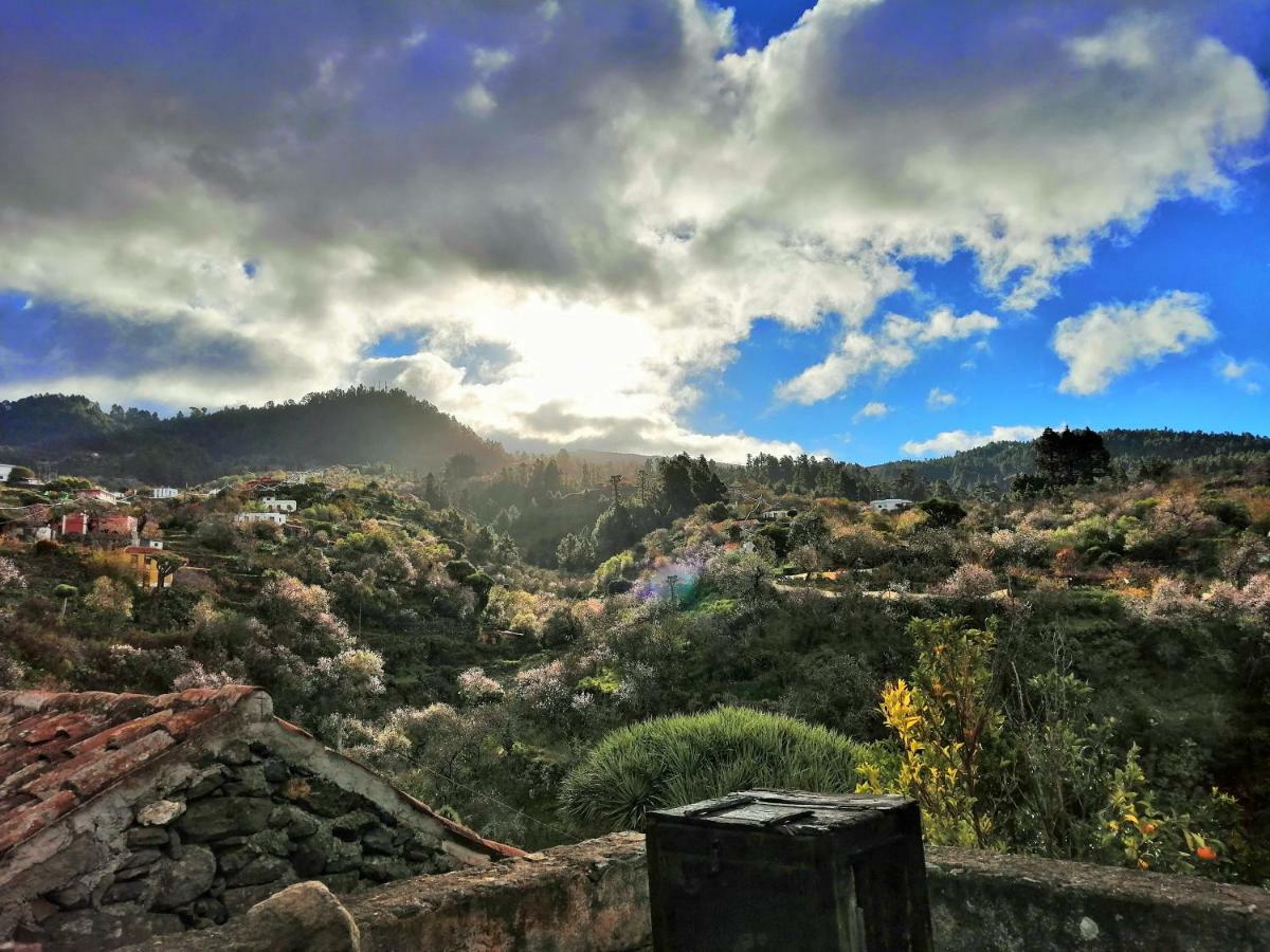 Alma Villa Garafia Bagian luar foto